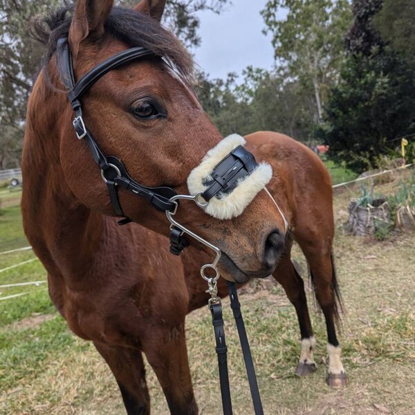 小物 LASTCROPS SPANKER I Vachetta Horsehide LC SPANKER I Vachetta Horsehide | LAST CROPS ｜ SHOP BLOG