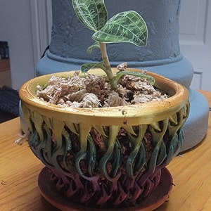 Lisa added a photo of their purchase