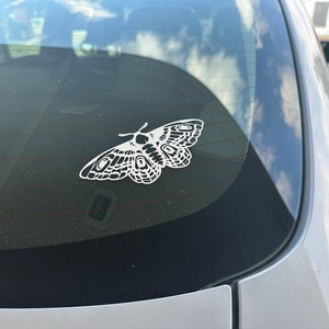 Holly added a photo of their purchase