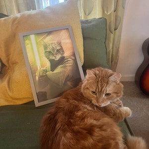 Sophie added a photo of their purchase