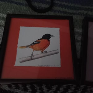 Tammy added a photo of their purchase