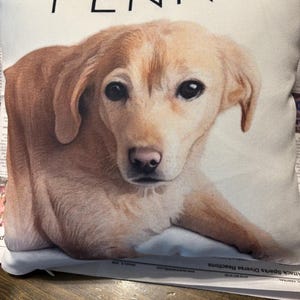 Diana added a photo of their purchase