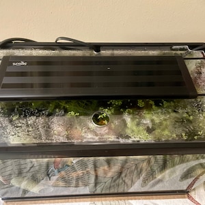 Erin added a photo of their purchase