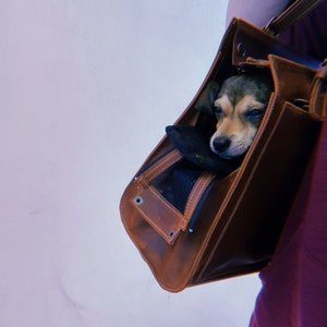 Caroline added a photo of their purchase