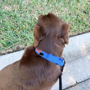 JaxandJen added a photo of their purchase