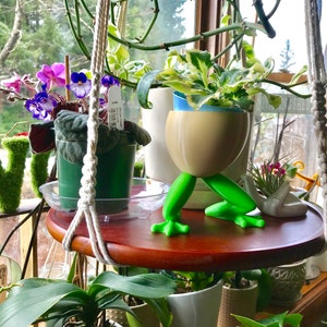 L. added a photo of their purchase