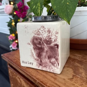 Mackenzie ha añadido una foto de su compra