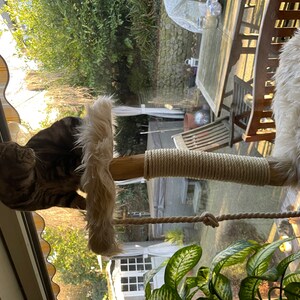 Kitty added a photo of their purchase