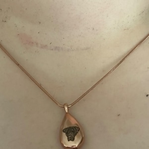 Rosie added a photo of their purchase