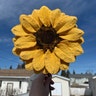 Reviewer's image