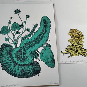 Agneuh added a photo of their purchase