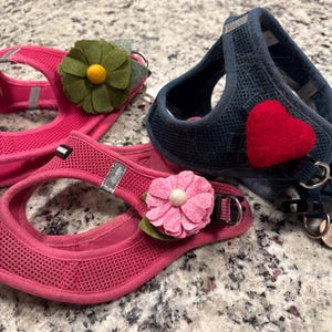 Deborah added a photo of their purchase