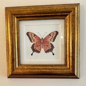 Donna added a photo of their purchase
