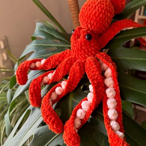 Anke added a photo of their purchase