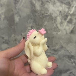 Abigail heeft een foto van de aankoop toegevoegd