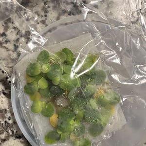 Mana heeft een foto van zijn/haar aankoop toegevoegd