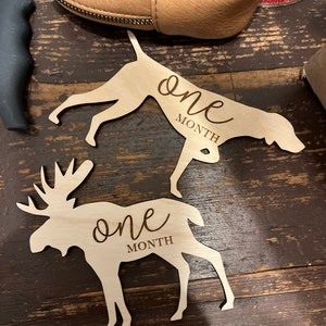 lebarnes412 added a photo of their purchase