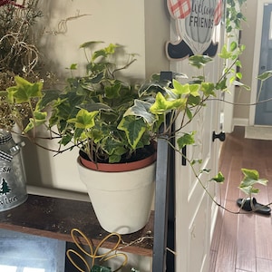 Jeanine added a photo of their purchase