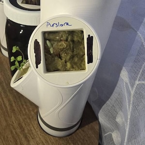 Iraz added a photo of their purchase
