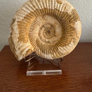 Jon さんが購入した商品の写真を追加しました