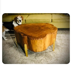 Diane added a photo of their purchase