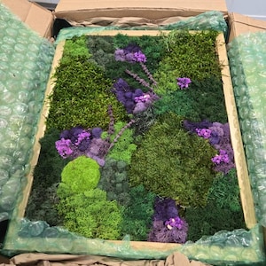 Grace added a photo of their purchase