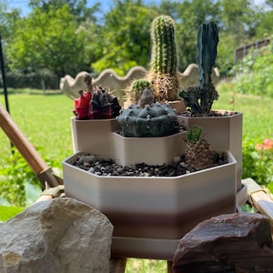 Beatrice added a photo of their purchase