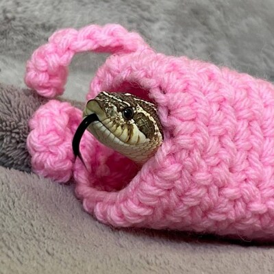 Crocheted Adult Pumpkin Bearded Dragon Costume Bearded Dragon Costume ...