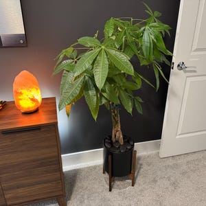 Landon ha añadido una foto de su compra