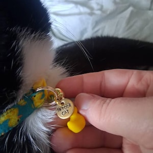 Melody added a photo of their purchase