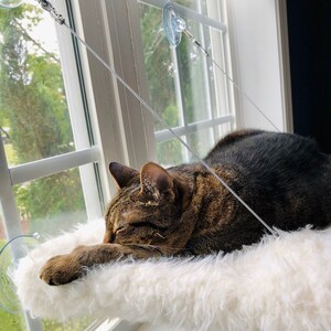 jkhl added a photo of their purchase