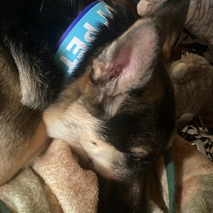 Lilmewer added a photo of their purchase