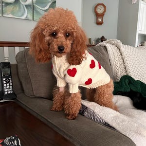Susan added a photo of their purchase