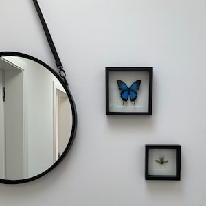 Belinda ha añadido una foto de su compra