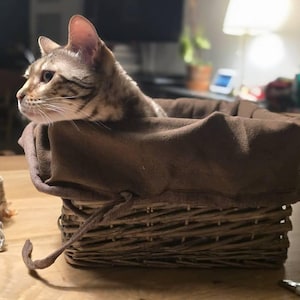 Laura added a photo of their purchase
