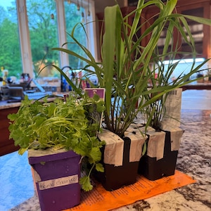 Jeanette a ajouté une photo de son achat