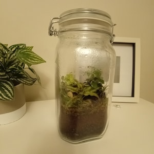 David added a photo of their purchase