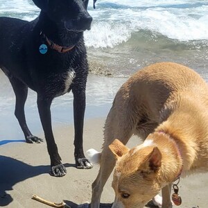 Aloé a ajouté une photo de son achat