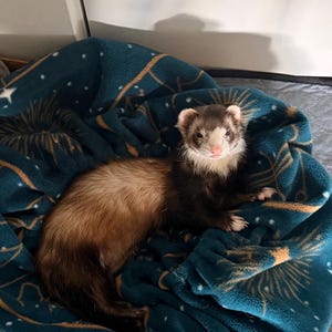 gabriella added a photo of their purchase