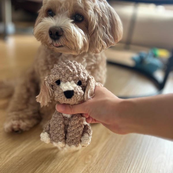 Customizable CAVOODLE Crochet Amigurumi, Crochet Dog, Amigurumi Dog ...