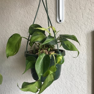 Nicole Blackburn added a photo of their purchase