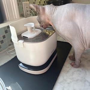 Andrew added a photo of their purchase