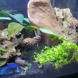 Jennifer added a photo of their purchase