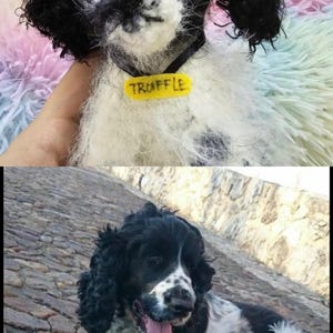 Patricia added a photo of their purchase