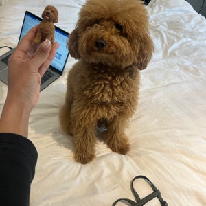 Sogol added a photo of their purchase