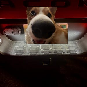 Sam added a photo of their purchase