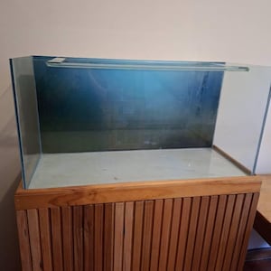 Polina heeft een foto van zijn/haar aankoop toegevoegd