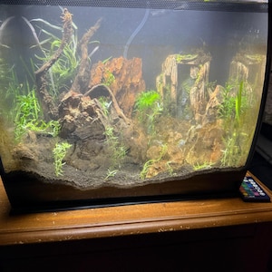 Papa added a photo of their purchase