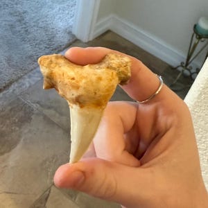Taylor added a photo of their purchase