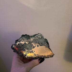 Chelsea added a photo of their purchase